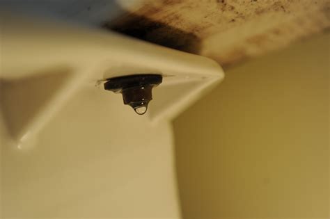 Toilet leaking from tank bolts. Things To Know About Toilet leaking from tank bolts. 